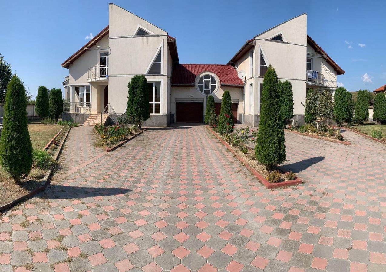 Vila Nei Lugoj Exterior photo